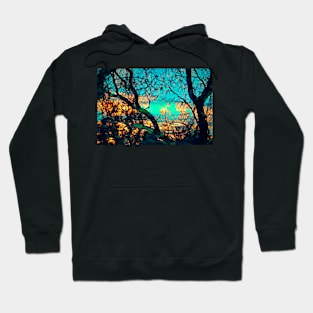 Oaks 31 Hoodie